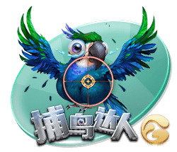 娱乐星空下载app安卓版